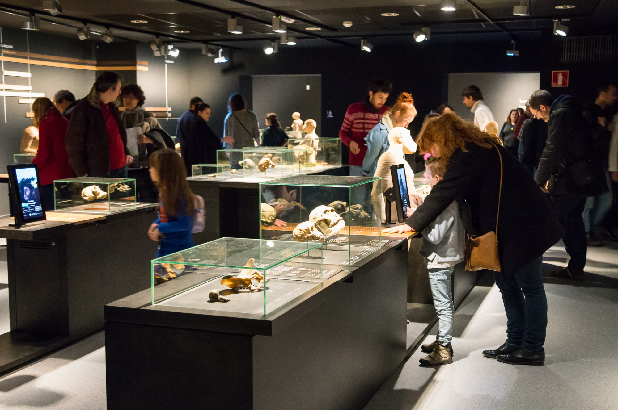 Museum voor Natuurwetenschappen Koninklijk Belgisch Instituut voor Natuurwetenschappen