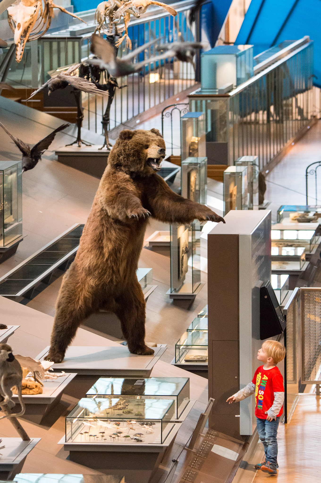 Museum voor Natuurwetenschappen Koninklijk Belgisch Instituut voor Natuurwetenschappen